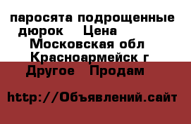 паросята подрощенные дюрок. › Цена ­ 5 000 - Московская обл., Красноармейск г. Другое » Продам   